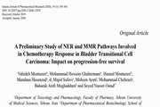 A preliminary study of NER and MMR pathways involved in chemotherapy response in bladder transitional cell carcinoma: Impact on progression-free survival